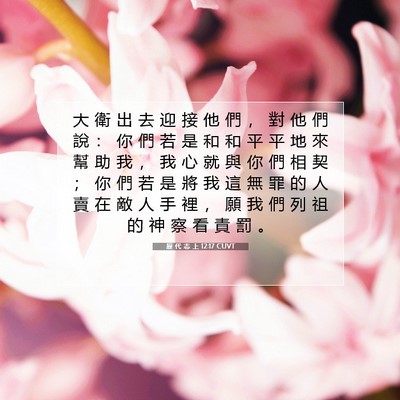 Picture 07 - 歷 代 志 上 12:17 CUVT - 大 衛 出 去 迎 接 他 們 ， 對 他 們 - Bible Verse Picture