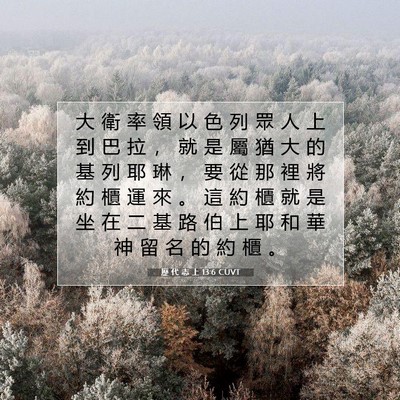 Picture 07 - 歷 代 志 上 13:6 CUVT - 大 衛 率 領 以 色 列 眾 人 上 到 巴 - Bible Verse Picture