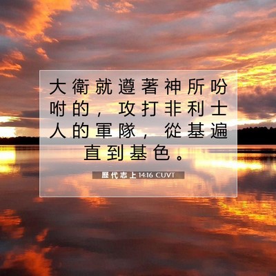 Picture 07 - 歷 代 志 上 14:16 CUVT - 大 衛 就 遵 著 神 所 吩 咐 的 ， 攻 - Bible Verse Picture