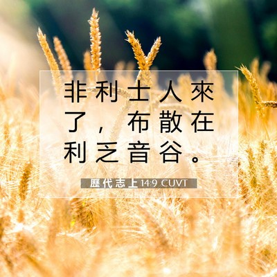 Picture 07 - 歷 代 志 上 14:9 CUVT - 非 利 士 人 來 了 ， 布 散 在 利 乏 - Bible Verse Picture