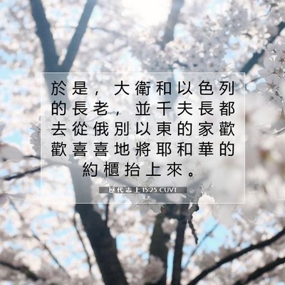 Picture 07 - 歷 代 志 上 15:25 CUVT - 於 是 ， 大 衛 和 以 色 列 的 長 老 - Bible Verse Picture