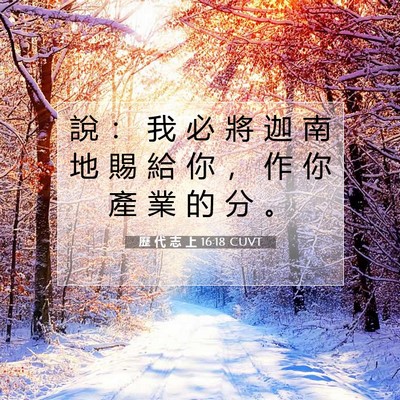 Picture 07 - 歷 代 志 上 16:18 CUVT - 說 ： 我 必 將 迦 南 地 賜 給 你 ， - Bible Verse Picture