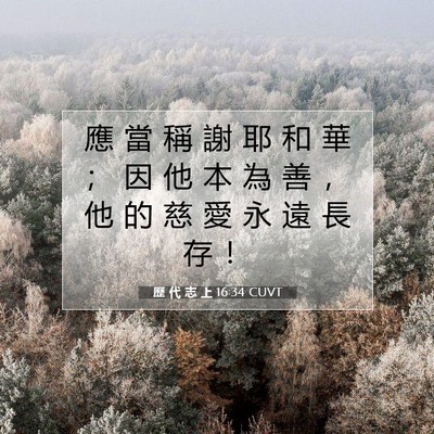Picture 07 - 歷 代 志 上 16:34 CUVT - 應 當 稱 謝 耶 和 華 ； 因 他 本 為 - Bible Verse Picture