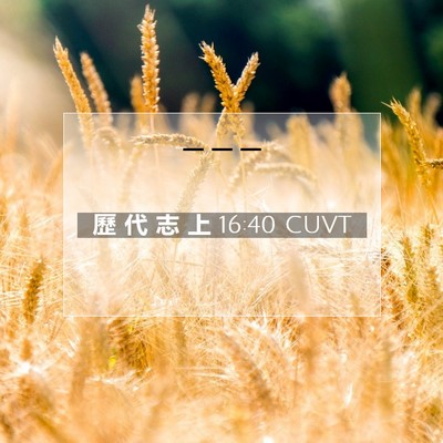 Picture 07 - 歷 代 志 上 16:40 CUVT -  - Bible Verse Picture