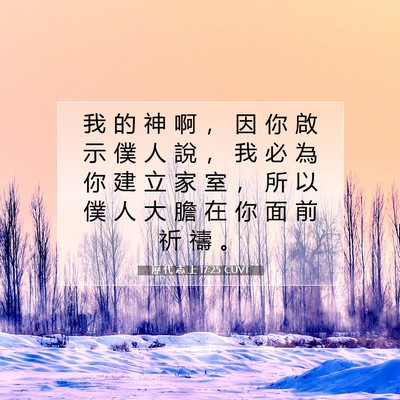 Picture 07 - 歷 代 志 上 17:25 CUVT - 我 的 神 啊 ， 因 你 啟 示 僕 人 說 - Bible Verse Picture