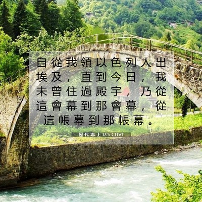 Picture 07 - 歷 代 志 上 17:5 CUVT - 自 從 我 領 以 色 列 人 出 埃 及 ， - Bible Verse Picture