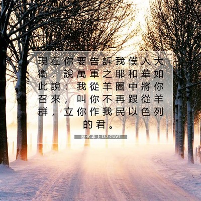Picture 07 - 歷 代 志 上 17:7 CUVT - 現 在 你 要 告 訴 我 僕 人 大 衛 ， - Bible Verse Picture