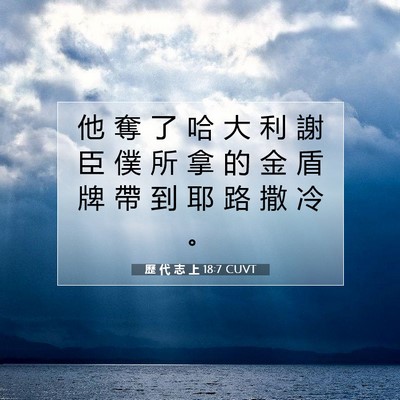 Picture 07 - 歷 代 志 上 18:7 CUVT - 他 奪 了 哈 大 利 謝 臣 僕 所 拿 的 - Bible Verse Picture