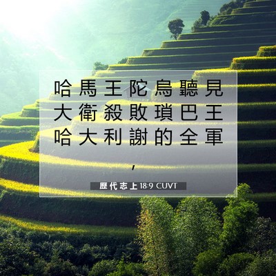Picture 07 - 歷 代 志 上 18:9 CUVT - 哈 馬 王 陀 烏 聽 見 大 衛 殺 敗 瑣 - Bible Verse Picture