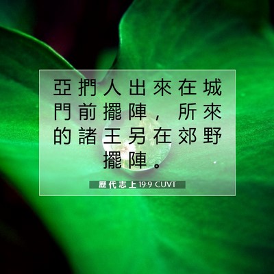 Picture 07 - 歷 代 志 上 19:9 CUVT - 亞 捫 人 出 來 在 城 門 前 擺 陣 ， - Bible Verse Picture
