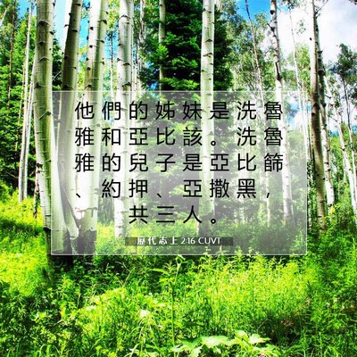 Picture 07 - 歷 代 志 上 2:16 CUVT - 他 們 的 姊 妹 是 洗 魯 雅 和 亞 比 - Bible Verse Picture
