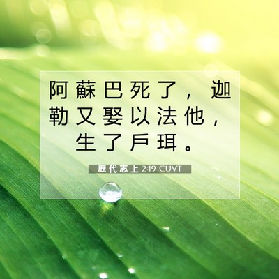 Picture 07 - 歷 代 志 上 2:19 CUVT - 阿 蘇 巴 死 了 ， 迦 勒 又 娶 以 法 - Bible Verse Picture