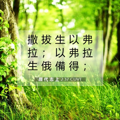 Picture 07 - 歷 代 志 上 2:37 CUVT - 撒 拔 生 以 弗 拉 ； 以 弗 拉 生 俄 - Bible Verse Picture