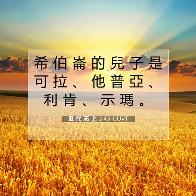 Picture 07 - 歷 代 志 上 2:43 CUVT - 希 伯 崙 的 兒 子 是 可 拉 、 他 普 - Bible Verse Picture