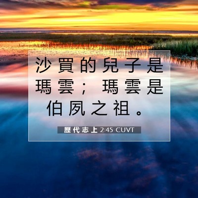 Picture 07 - 歷 代 志 上 2:45 CUVT - 沙 買 的 兒 子 是 瑪 雲 ； 瑪 雲 是 - Bible Verse Picture