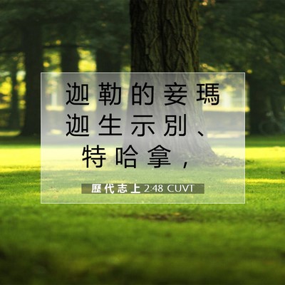 Picture 07 - 歷 代 志 上 2:48 CUVT - 迦 勒 的 妾 瑪 迦 生 示 別 、 特 哈 - Bible Verse Picture