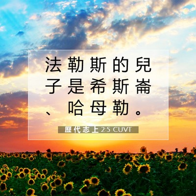 Picture 07 - 歷 代 志 上 2:5 CUVT - 法 勒 斯 的 兒 子 是 希 斯 崙 、 哈 - Bible Verse Picture