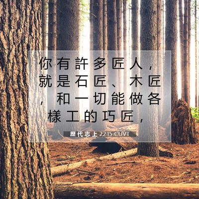 Picture 07 - 歷 代 志 上 22:15 CUVT - 你 有 許 多 匠 人 ， 就 是 石 匠 、 - Bible Verse Picture