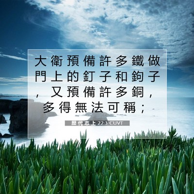 Picture 07 - 歷 代 志 上 22:3 CUVT - 大 衛 預 備 許 多 鐵 做 門 上 的 釘 - Bible Verse Picture