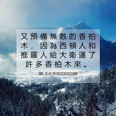 Picture 07 - 歷 代 志 上 22:4 CUVT - 又 預 備 無 數 的 香 柏 木 ， 因 為 - Bible Verse Picture