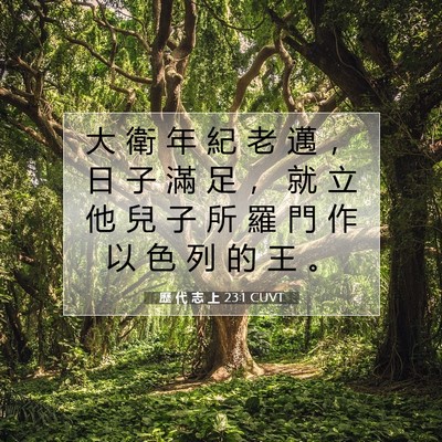 Picture 07 - 歷 代 志 上 23:1 CUVT - 大 衛 年 紀 老 邁 ， 日 子 滿 足 ， - Bible Verse Picture