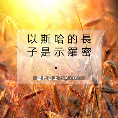 Picture 07 - 歷 代 志 上 23:18 CUVT - 以 斯 哈 的 長 子 是 示 羅 密 - Bible Verse Picture