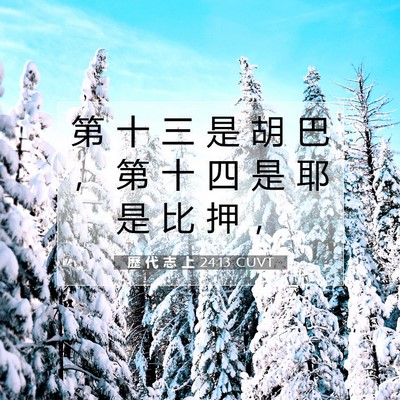Picture 07 - 歷 代 志 上 24:13 CUVT - 第 十 三 是 胡 巴 ， 第 十 四 是 耶 - Bible Verse Picture