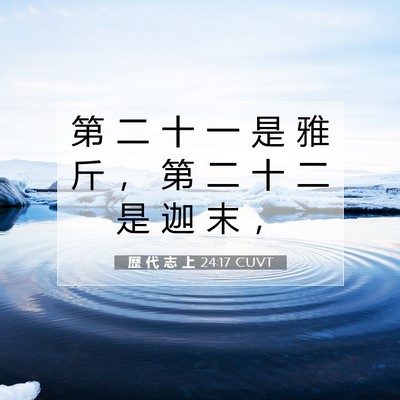 Picture 07 - 歷 代 志 上 24:17 CUVT - 第 二 十 一 是 雅 斤 ， 第 二 十 二 - Bible Verse Picture