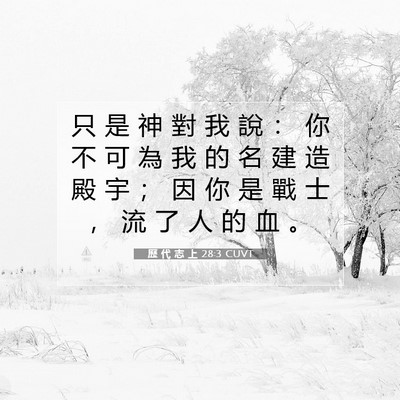 Picture 07 - 歷 代 志 上 28:3 CUVT - 只 是 神 對 我 說 ： 你 不 可 為 我 - Bible Verse Picture