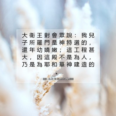 Picture 07 - 歷 代 志 上 29:1 CUVT - 大 衛 王 對 會 眾 說 ： 我 兒 子 所 - Bible Verse Picture