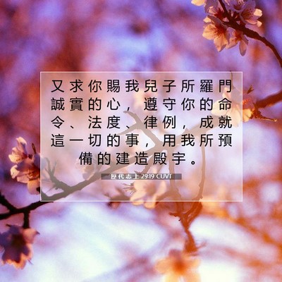 Picture 07 - 歷 代 志 上 29:19 CUVT - 又 求 你 賜 我 兒 子 所 羅 門 誠 實 - Bible Verse Picture