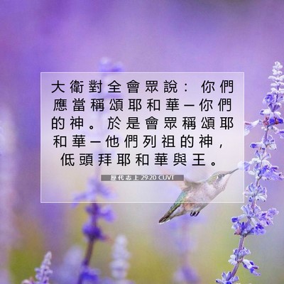 Picture 07 - 歷 代 志 上 29:20 CUVT - 大 衛 對 全 會 眾 說 ： 你 們 應 當 - Bible Verse Picture