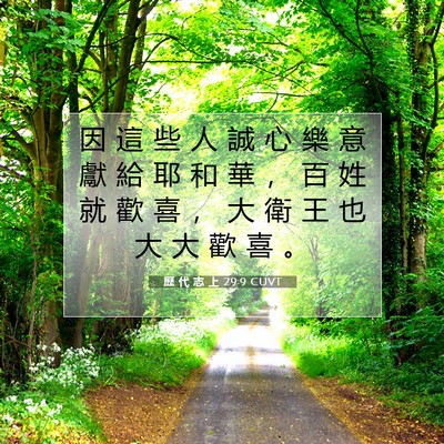 Picture 07 - 歷 代 志 上 29:9 CUVT - 因 這 些 人 誠 心 樂 意 獻 給 耶 和 - Bible Verse Picture