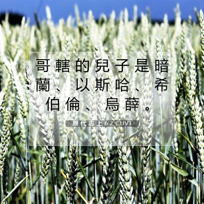 Picture 07 - 歷 代 志 上 6:2 CUVT - 哥 轄 的 兒 子 是 暗 蘭 、 以 斯 哈 - Bible Verse Picture