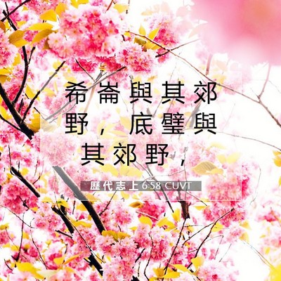 Picture 07 - 歷 代 志 上 6:58 CUVT - 希 崙 與 其 郊 野 ， 底 璧 與 其 郊 - Bible Verse Picture