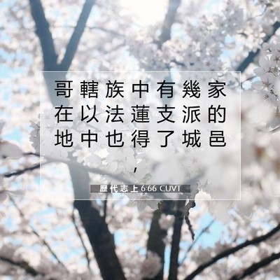 Picture 07 - 歷 代 志 上 6:66 CUVT - 哥 轄 族 中 有 幾 家 在 以 法 蓮 支 - Bible Verse Picture