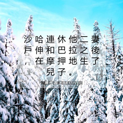 Picture 07 - 歷 代 志 上 8:8 CUVT - 沙 哈 連 休 他 二 妻 戶 伸 和 巴 拉 - Bible Verse Picture