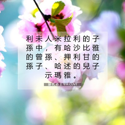 Picture 07 - 歷 代 志 上 9:14 CUVT - 利 未 人 米 拉 利 的 子 孫 中 ， 有 - Bible Verse Picture