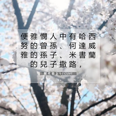 Picture 07 - 歷 代 志 上 9:7 CUVT - 便 雅 憫 人 中 有 哈 西 努 的 曾 孫 - Bible Verse Picture