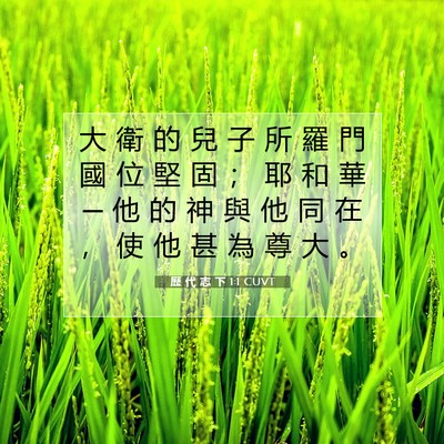 Picture 07 - 歷 代 志 下 1:1 CUVT - 大 衛 的 兒 子 所 羅 門 國 位 堅 固 - Bible Verse Picture