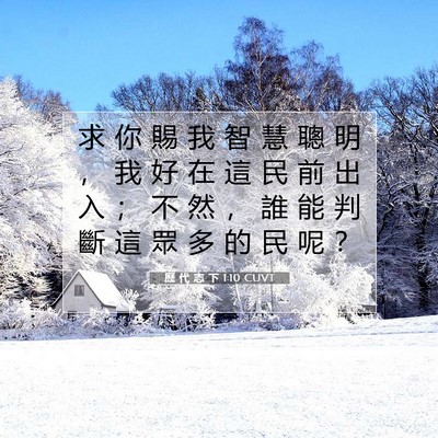 Picture 07 - 歷 代 志 下 1:10 CUVT - 求 你 賜 我 智 慧 聰 明 ， 我 好 在 - Bible Verse Picture
