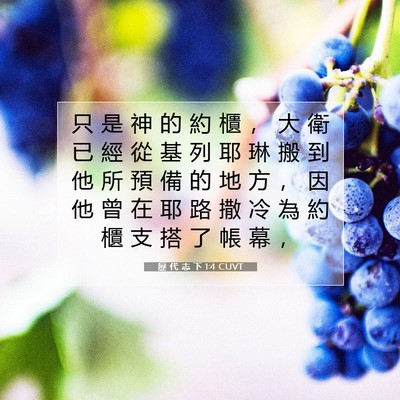 Picture 07 - 歷 代 志 下 1:4 CUVT - 只 是 神 的 約 櫃 ， 大 衛 已 經 從 - Bible Verse Picture