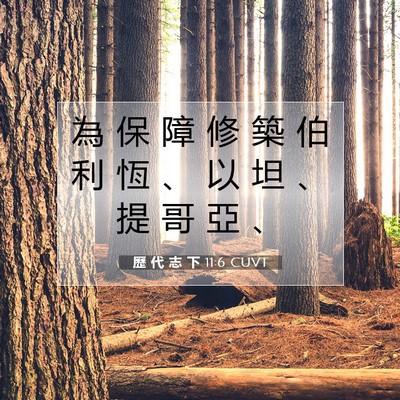 Picture 07 - 歷 代 志 下 11:6 CUVT - 為 保 障 修 築 伯 利 恆 、 以 坦 、 - Bible Verse Picture
