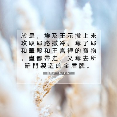 Picture 07 - 歷 代 志 下 12:9 CUVT - 於 是 ， 埃 及 王 示 撒 上 來 攻 取 - Bible Verse Picture