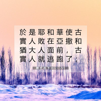 Picture 07 - 歷 代 志 下 14:12 CUVT - 於 是 耶 和 華 使 古 實 人 敗 在 亞 - Bible Verse Picture