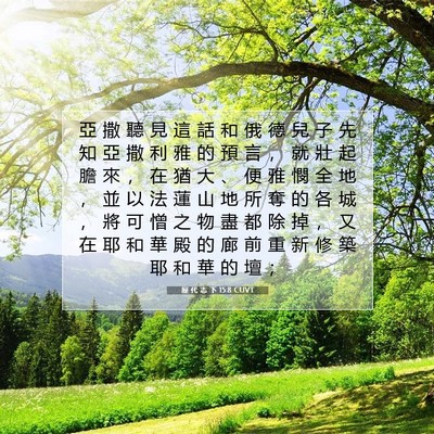 Picture 07 - 歷 代 志 下 15:8 CUVT - 亞 撒 聽 見 這 話 和 俄 德 兒 子 先 - Bible Verse Picture