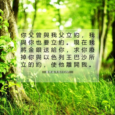 Picture 07 - 歷 代 志 下 16:3 CUVT - 你 父 曾 與 我 父 立 約 ， 我 與 你 - Bible Verse Picture