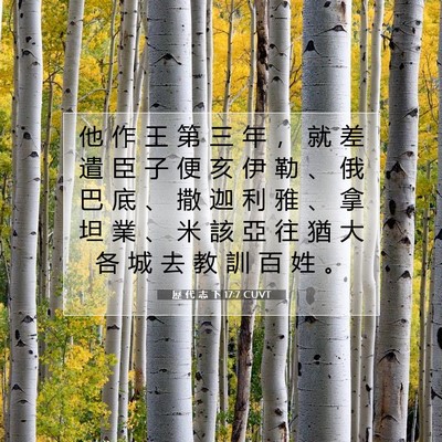 Picture 07 - 歷 代 志 下 17:7 CUVT - 他 作 王 第 三 年 ， 就 差 遣 臣 子 - Bible Verse Picture