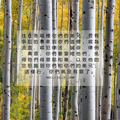 Picture 07 - 歷 代 志 下 19:10 CUVT - 住 在 各 城 裡 你 們 的 弟 兄 ， 若 - Bible Verse Picture