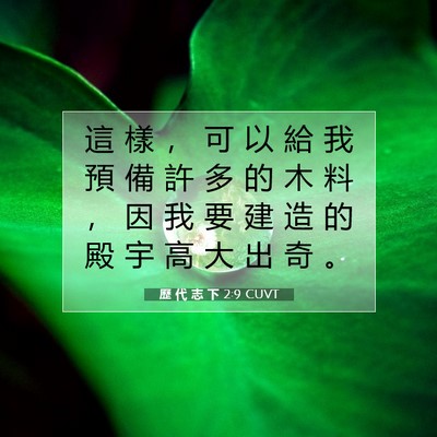 Picture 07 - 歷 代 志 下 2:9 CUVT - 這 樣 ， 可 以 給 我 預 備 許 多 的 - Bible Verse Picture